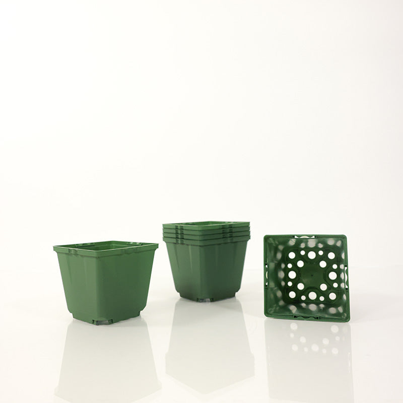 Dillen 4.5" Square Pot
