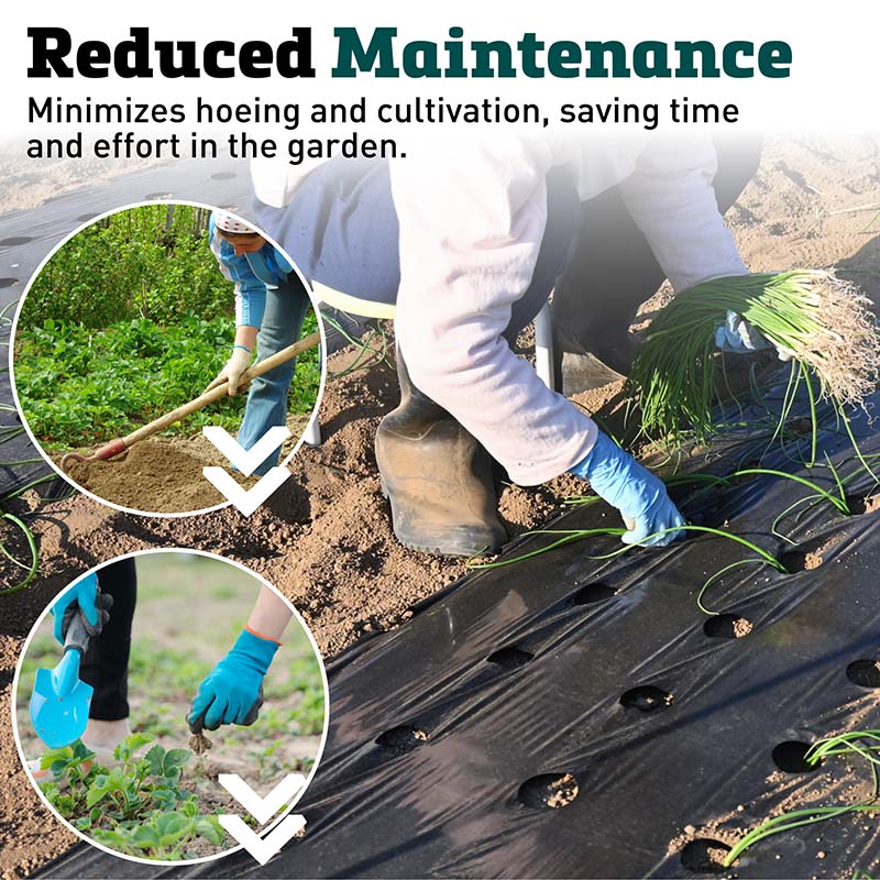 Black Plastic Mulch 3' x 4000'