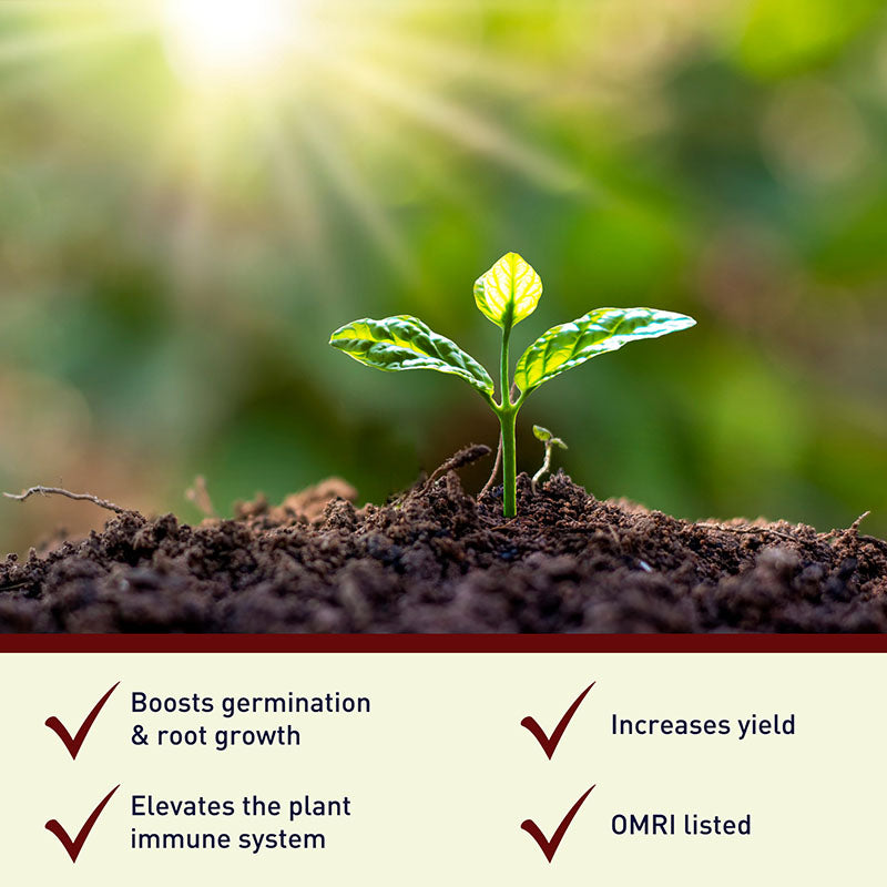 Exceed Soybean Organic Inoculant 15 oz.