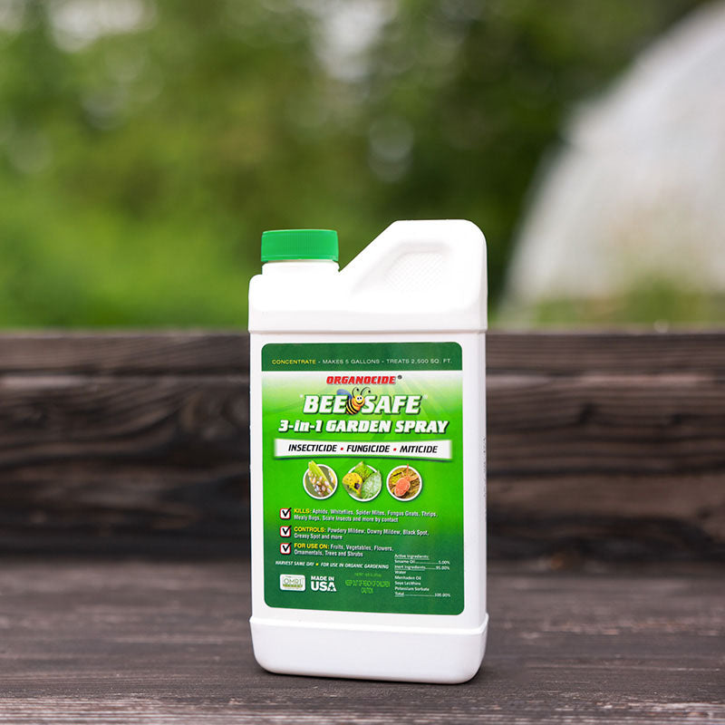 Bee Safe 3 In 1
