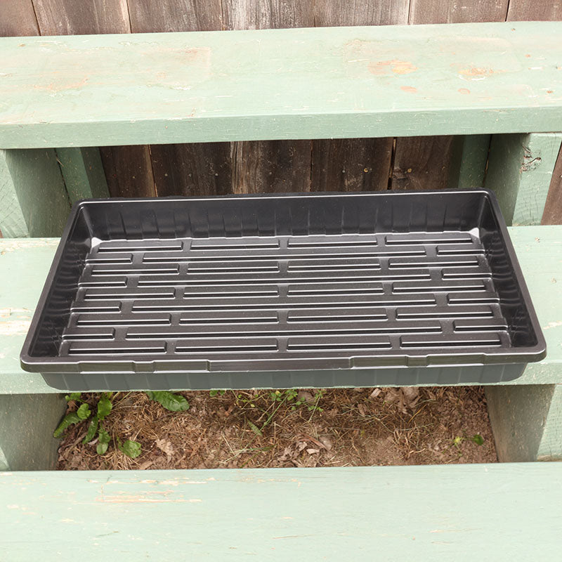 Tray No Drainage 11 X 21