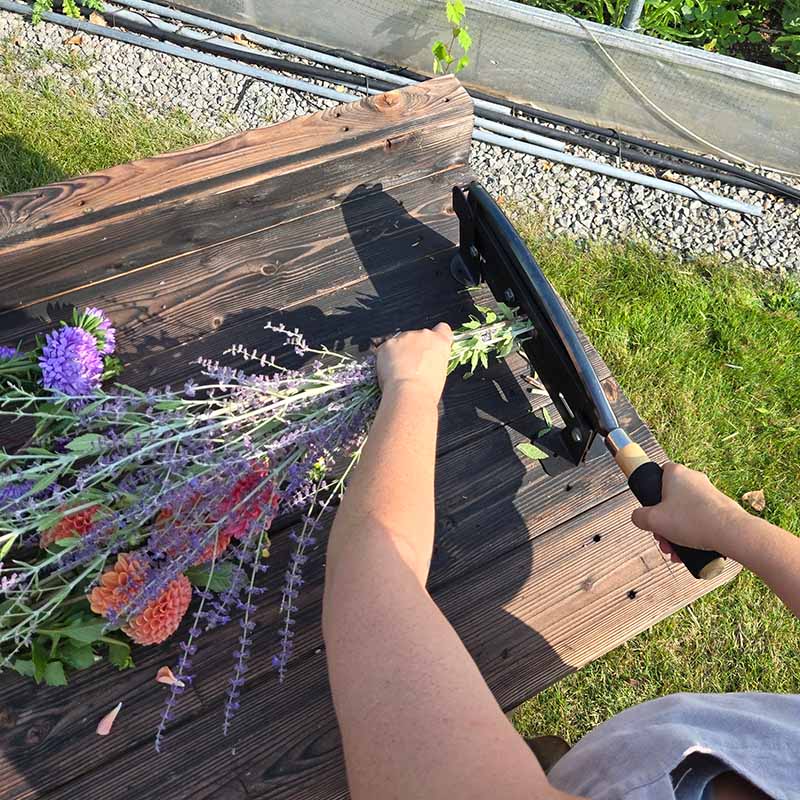 Cut Flower Stem Cutter