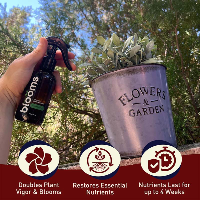 Blooms  Super Sprout 10-3-3 Fertilizer