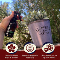 Blooms  Super Sprout 10-3-3 Fertilizer
