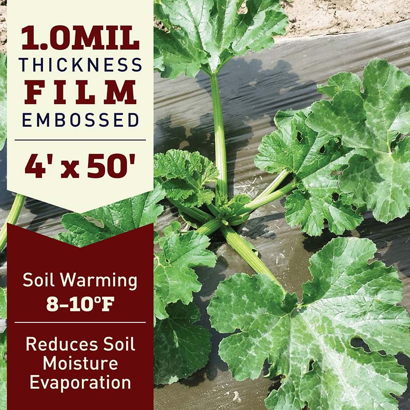 Solar Plastic Mulch 4' x 50'