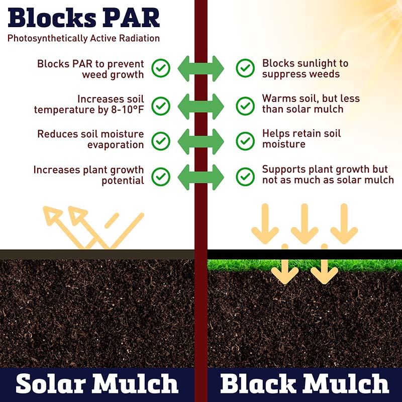 Solar Plastic Mulch 4' x 50'