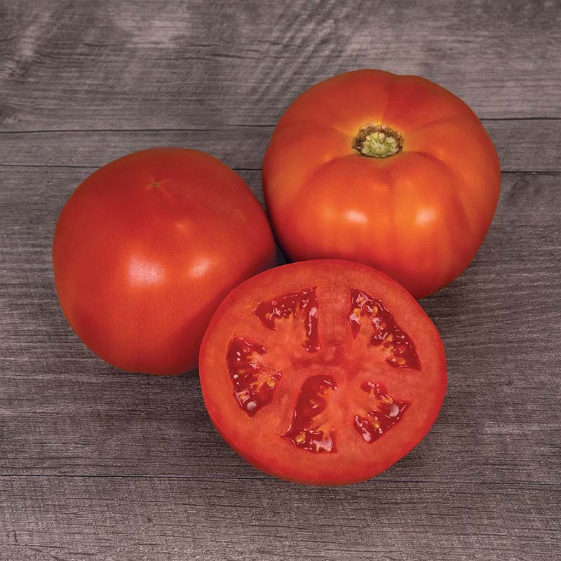 Tomato Mountain Man F1 Raw Untreated - 5,000 seeds