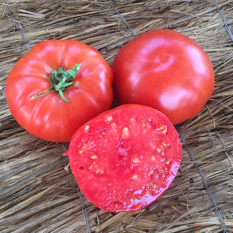 Tomato Beefsteak Organic Seed