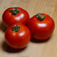 Tomato Red Racer F1 Seed