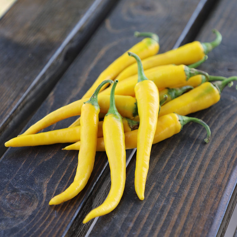 Pepper Golden Cayenne F1 Seed