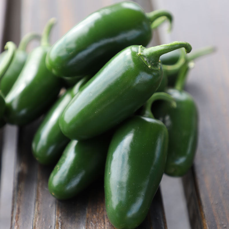 Pepper Bambino F1 Seed