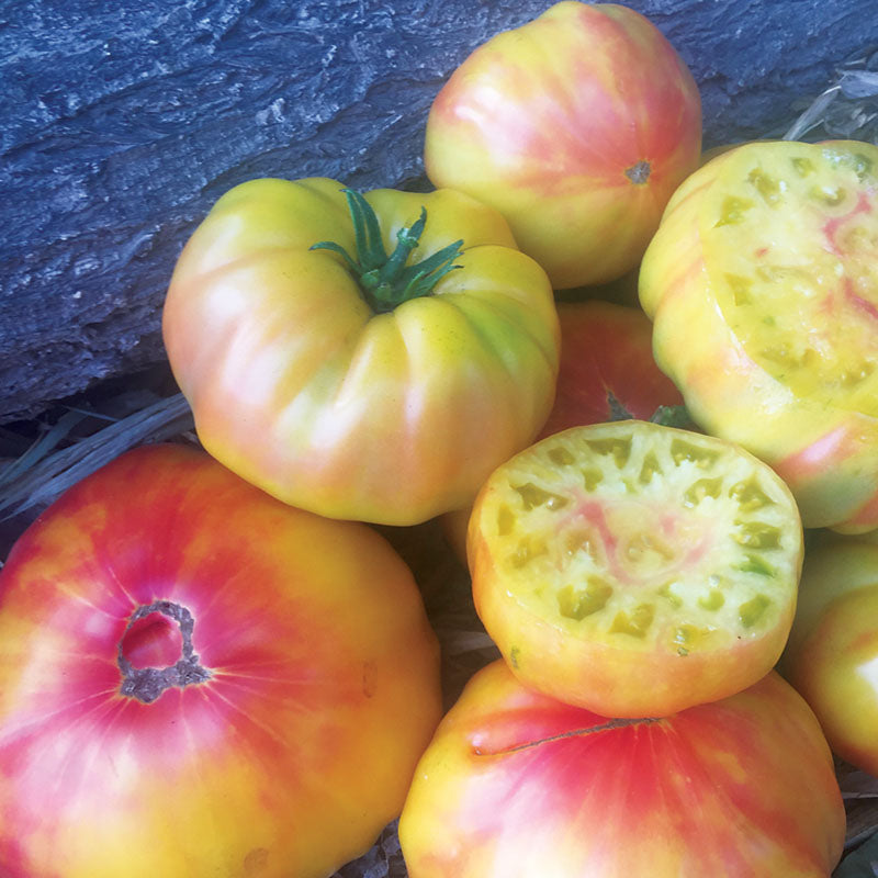 Tomato Striped German Seed
