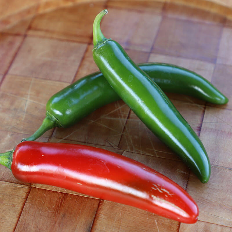 Pepper Trapio F1 Seed
