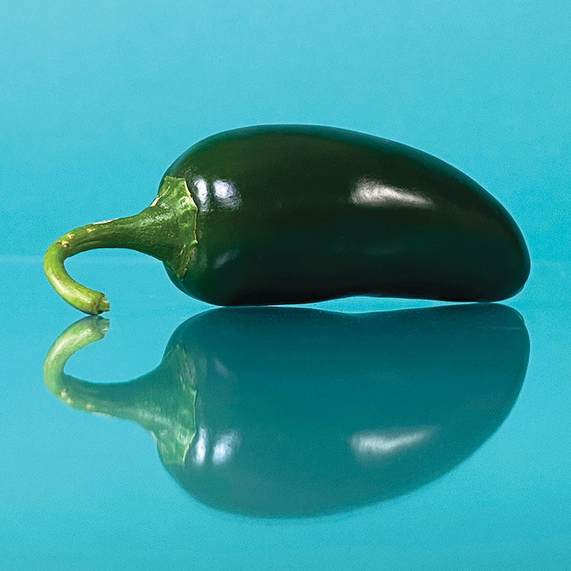 Pepper Black Magic F1 Organic Seed