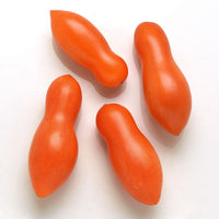 Tomato Sun Dipper F1 Seed