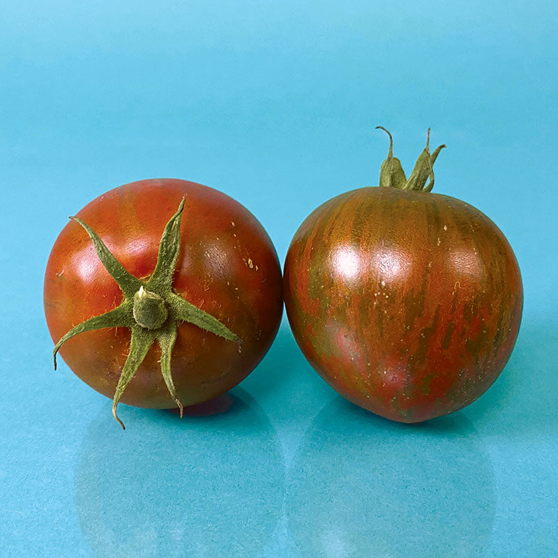 Tomato Purple Zebra F1 Seed